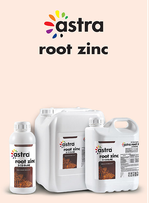 ASTRA ROOT ZINC