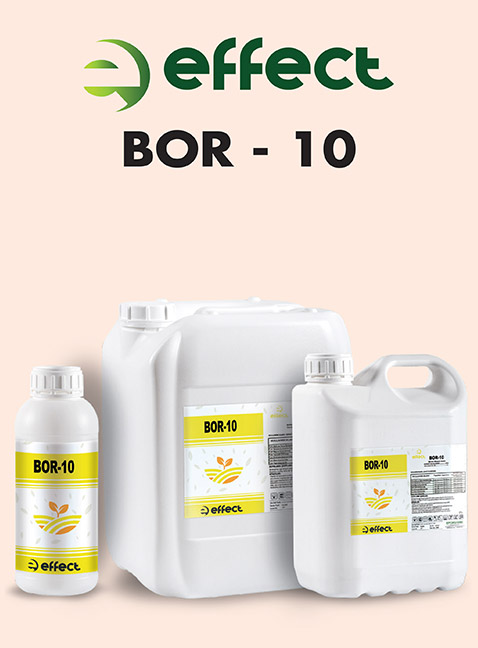 EFFECT BOR-10