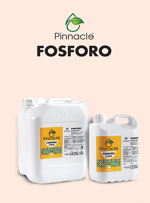 PINNACLE FOSFORO