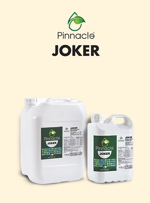 PINNACLE JOKER